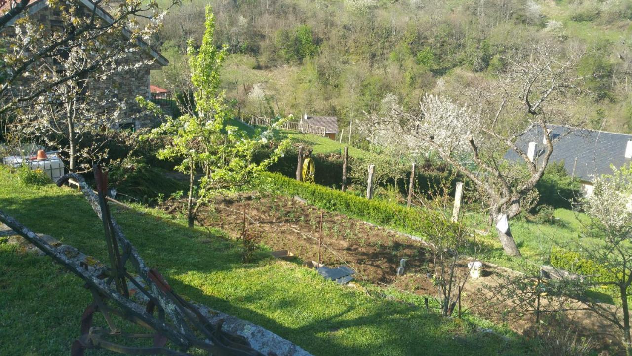 La Pumarada De Limes 2, Leitariegos Cangas De Narcea Exterior foto